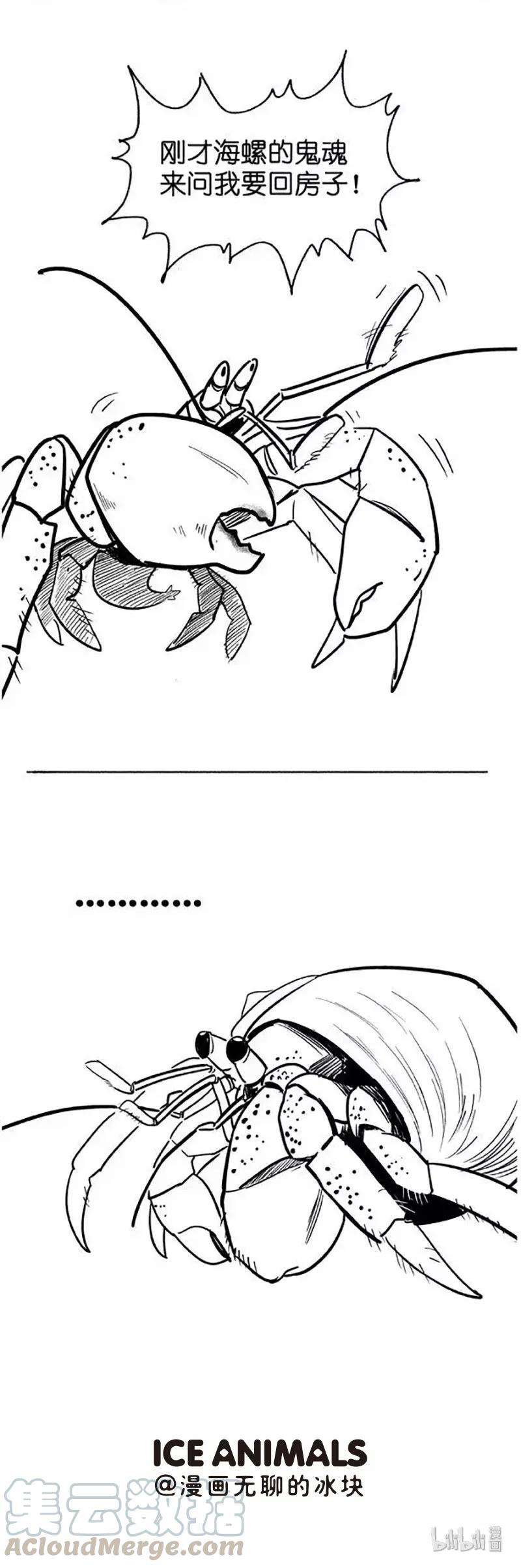 快把动物放进冰箱009 鬼屋