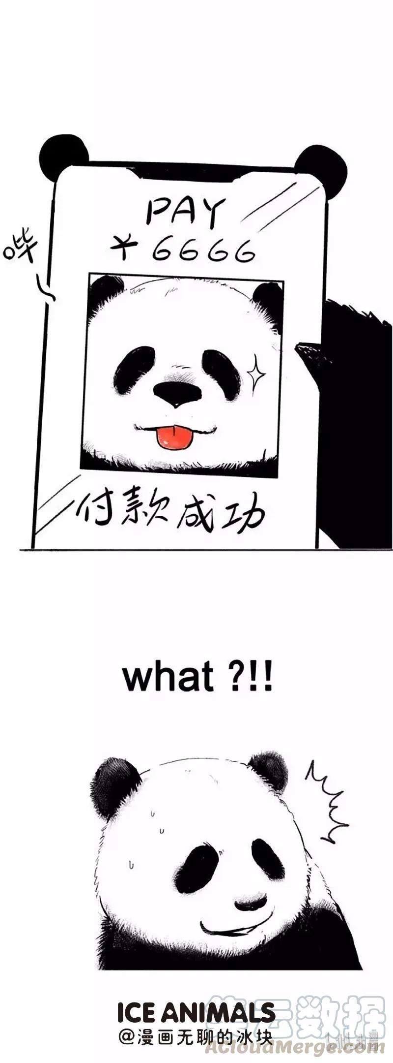 快把动物放进冰箱010 扫脸