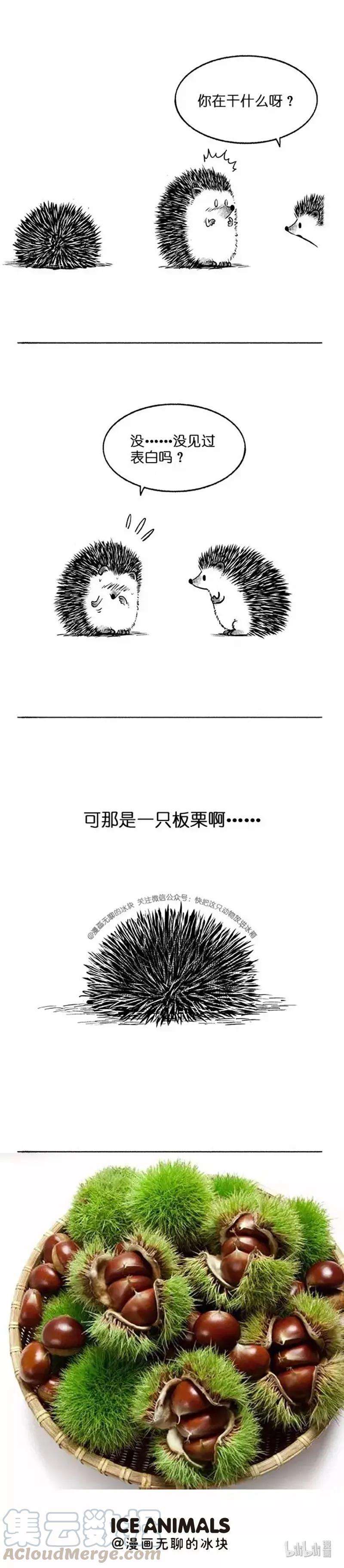 快把动物放进冰箱011 告白