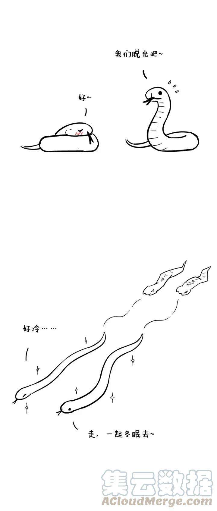 快把动物放进冰箱012 脱光