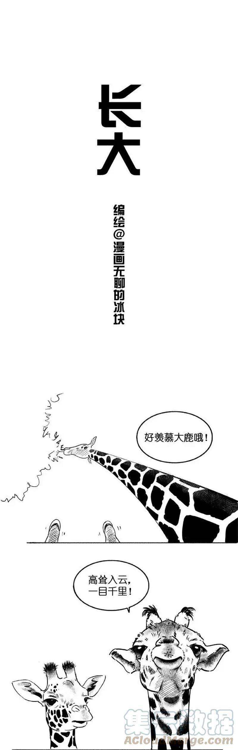 快把动物放进冰箱013 长大