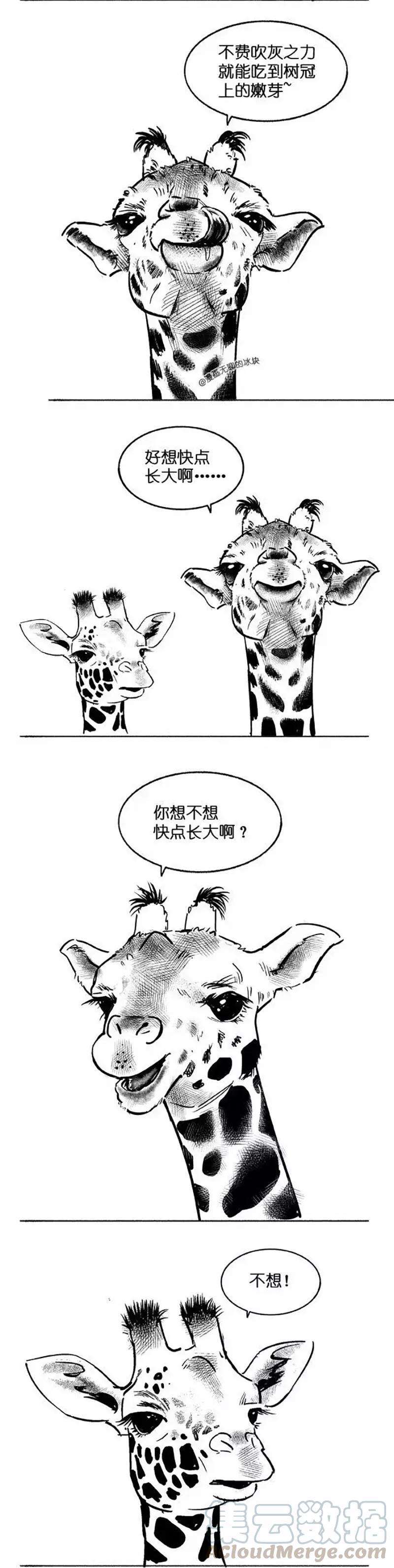 快把动物放进冰箱013 长大