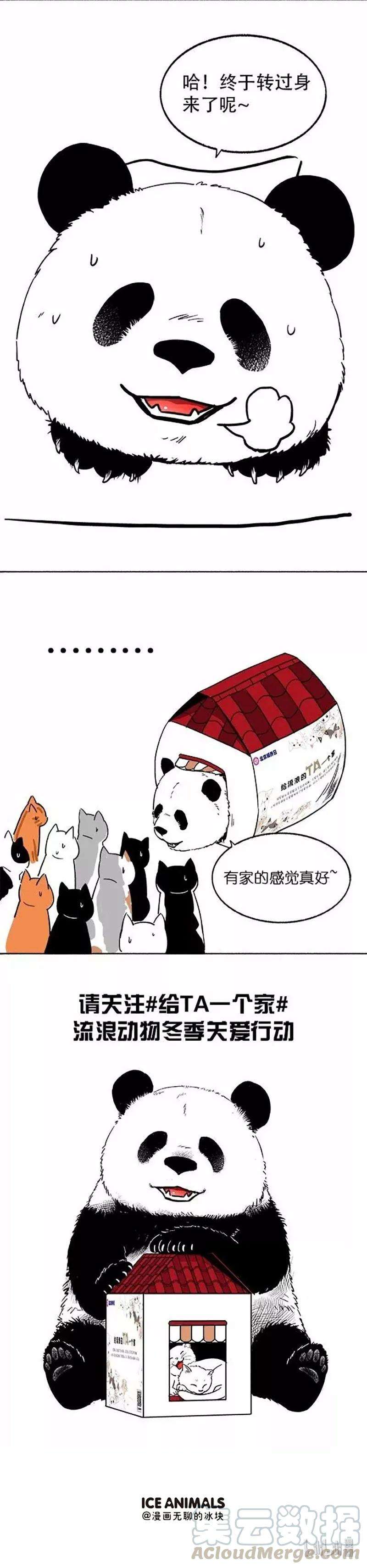 快把动物放进冰箱015 給TA一个家