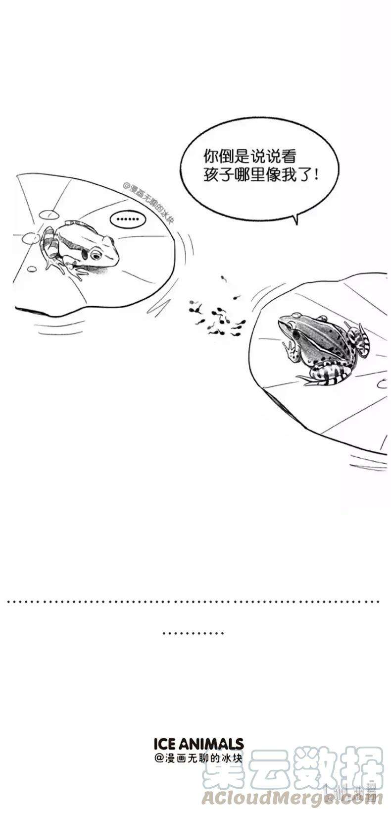 快把动物放进冰箱017 离婚