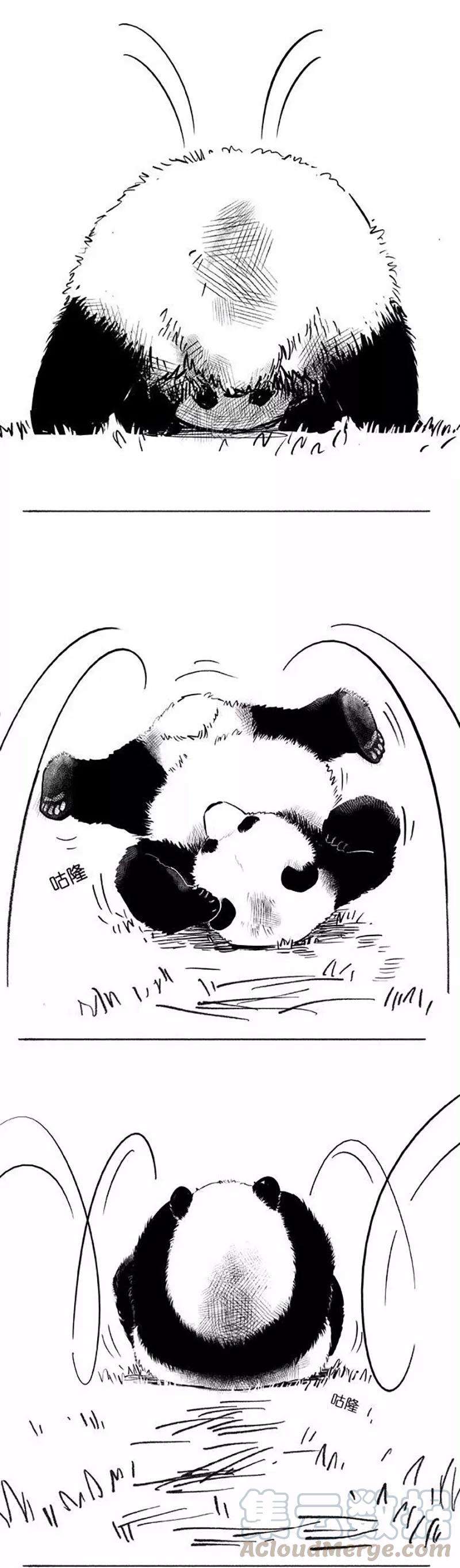 快把动物放进冰箱018 远足