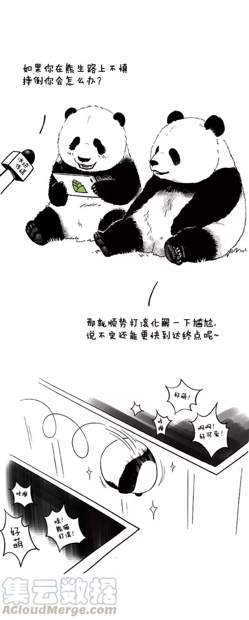 快把动物放进冰箱20 摔倒