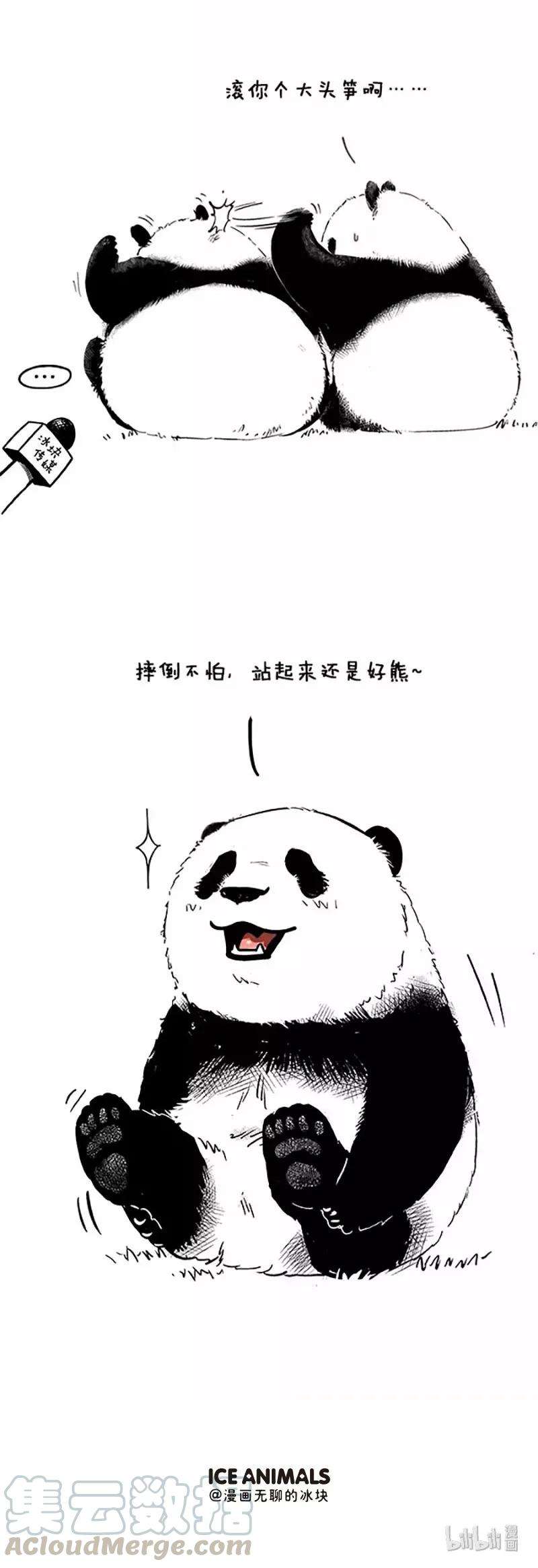 快把动物放进冰箱20 摔倒