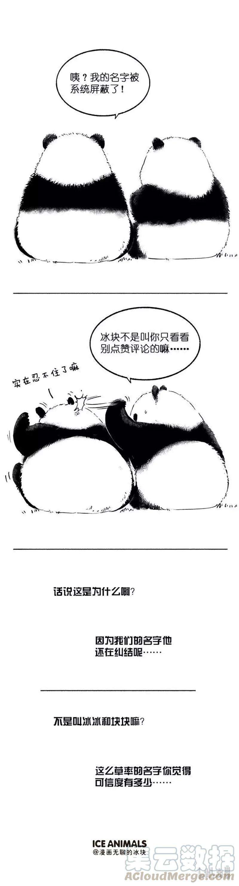 快把动物放进冰箱021 冰箱里的朋友圈（国庆篇）