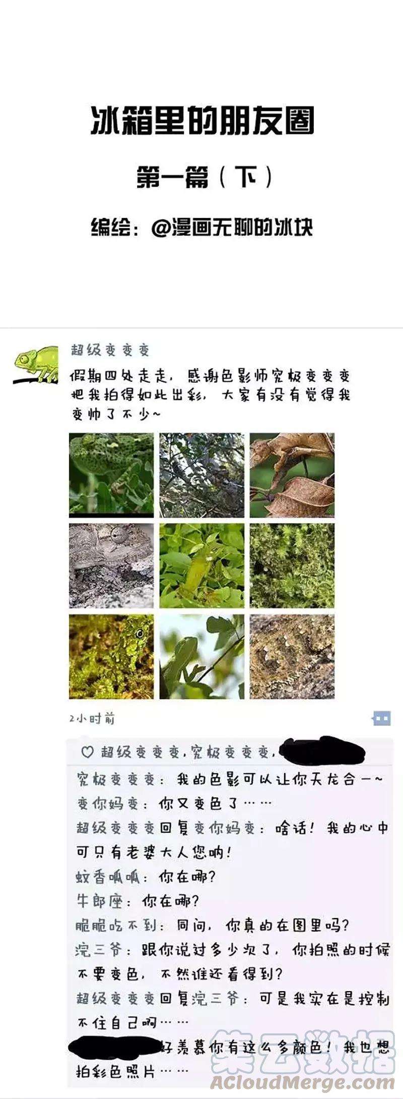 快把动物放进冰箱021 冰箱里的朋友圈（国庆篇）