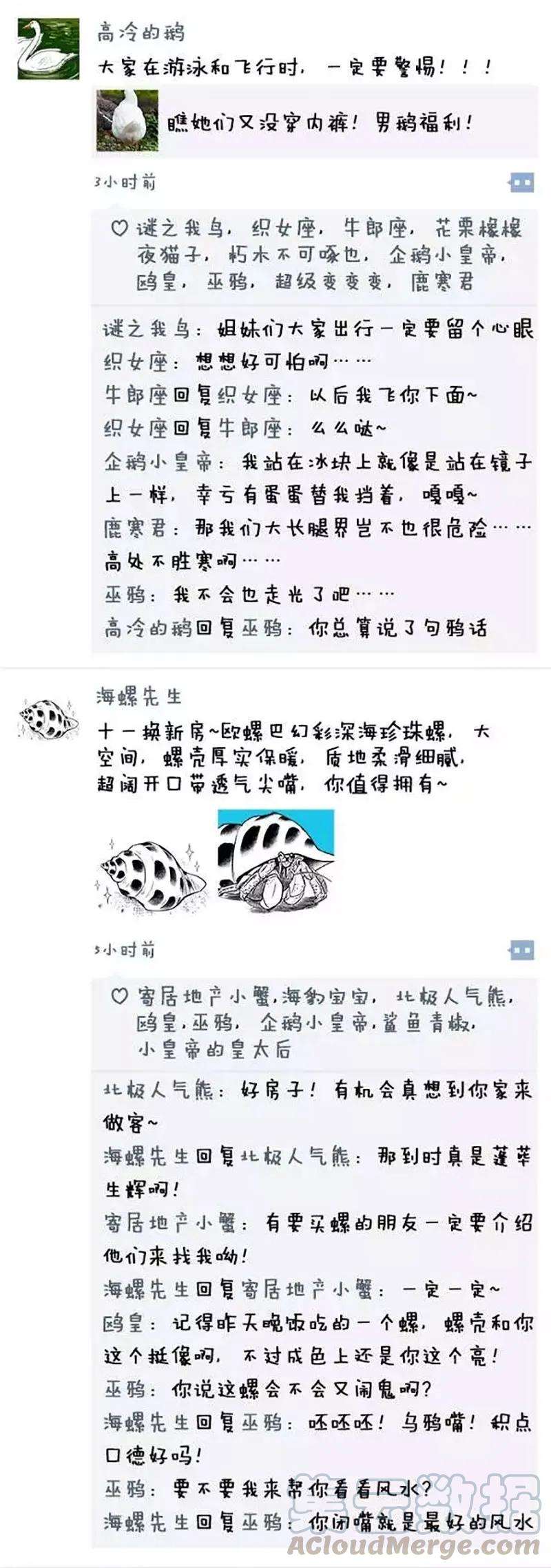 快把动物放进冰箱021 冰箱里的朋友圈（国庆篇）