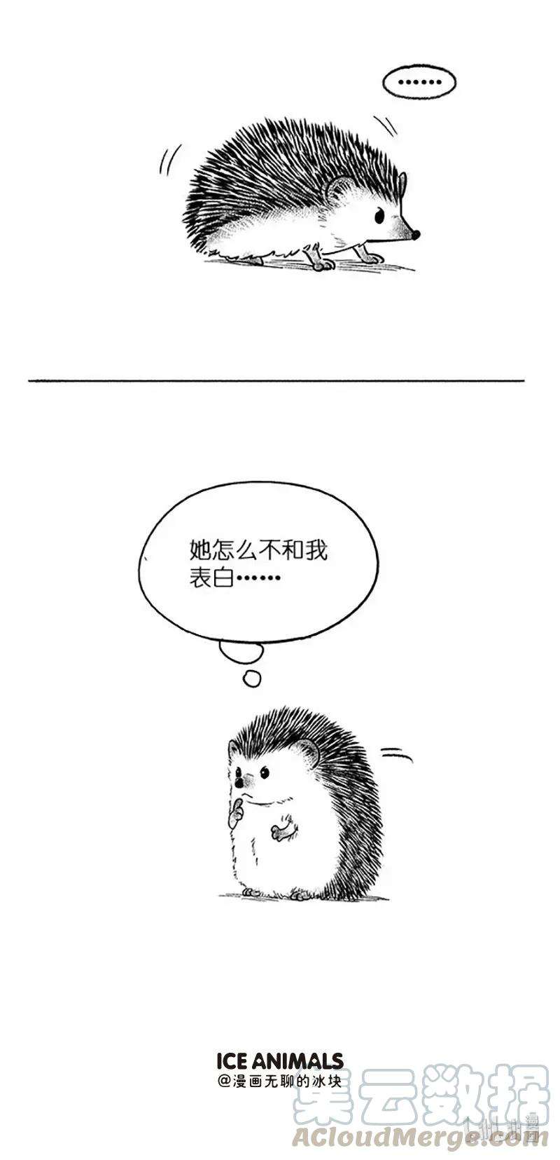 快把动物放进冰箱022 板栗