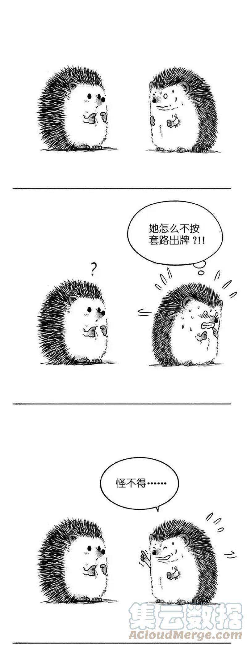 快把动物放进冰箱023 套路