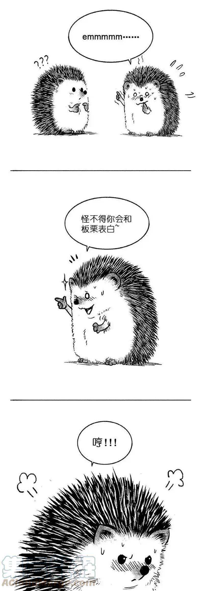 快把动物放进冰箱023 套路