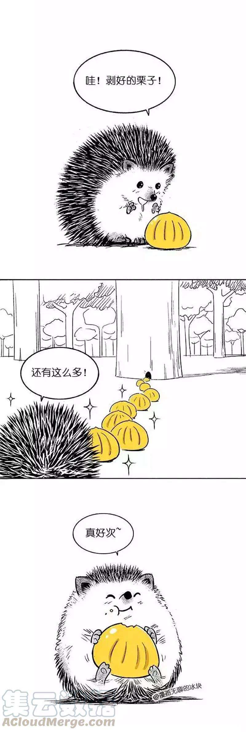 快把动物放进冰箱024 惊喜