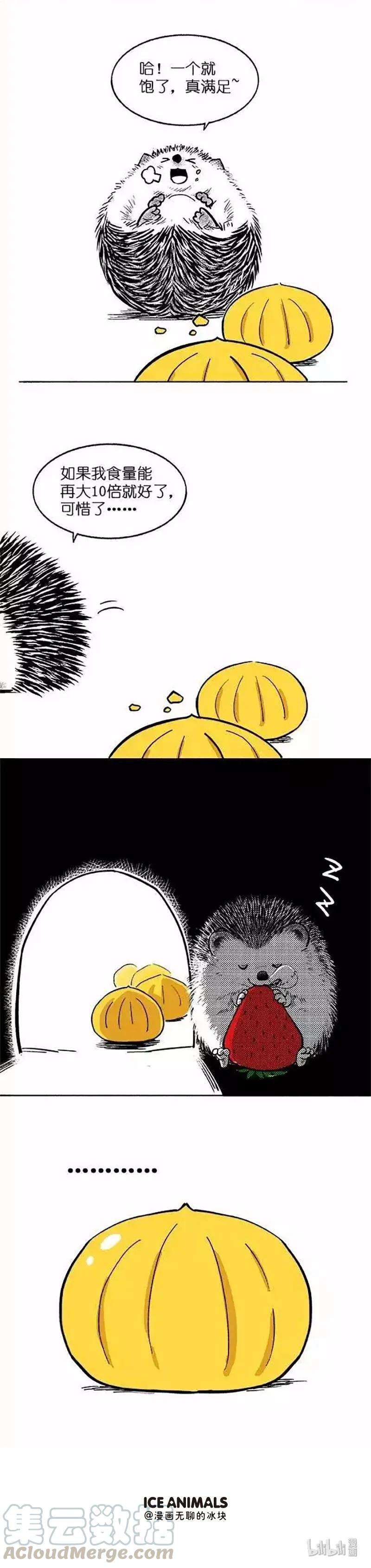 快把动物放进冰箱024 惊喜