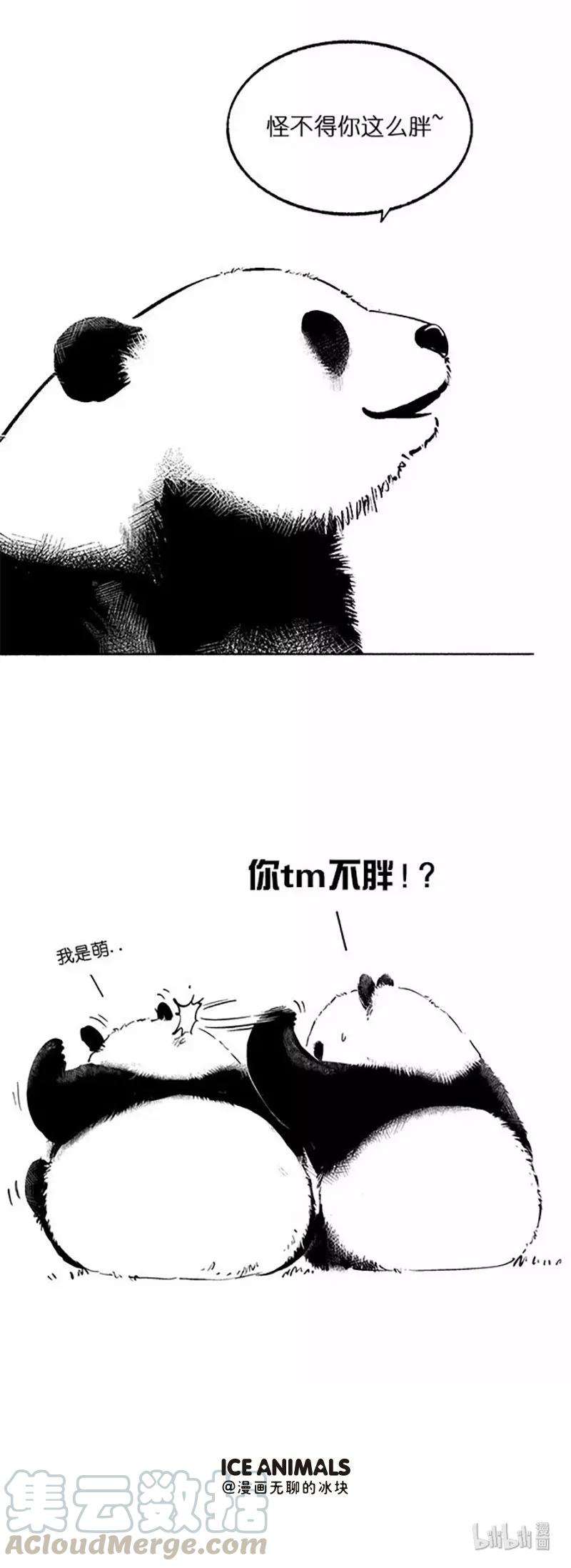 快把动物放进冰箱025 竹子一