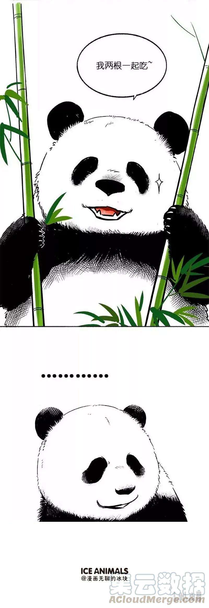 快把动物放进冰箱026 竹子二