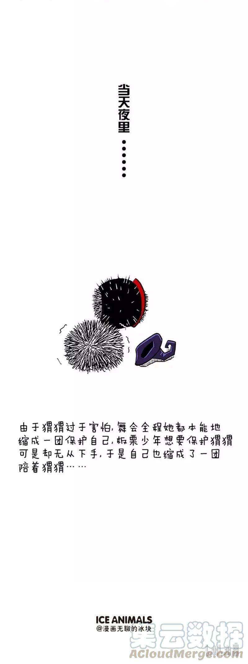 快把动物放进冰箱027 万圣节化妆舞会