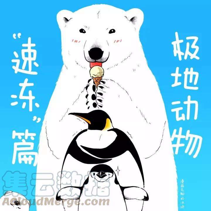 快把动物放进冰箱030 极地动物（速冻篇）