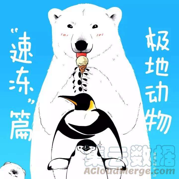 快把动物放进冰箱031 立冬