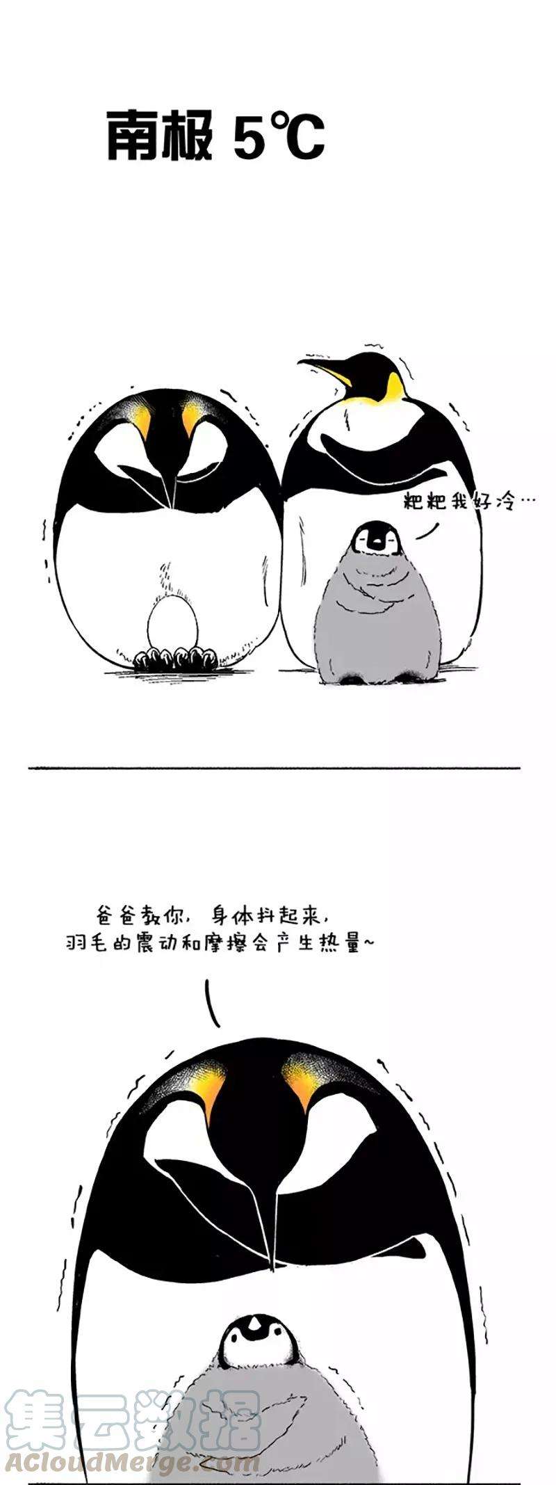 快把动物放进冰箱034 过冬