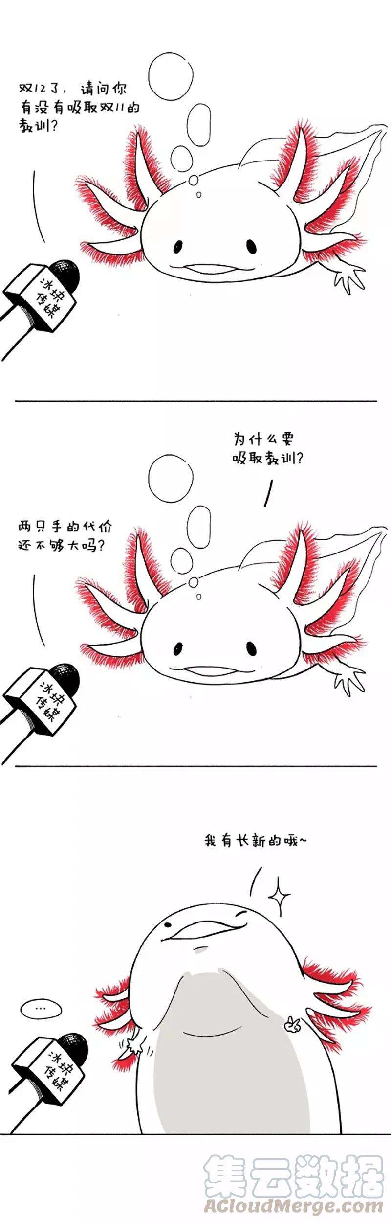 快把动物放进冰箱039 教训