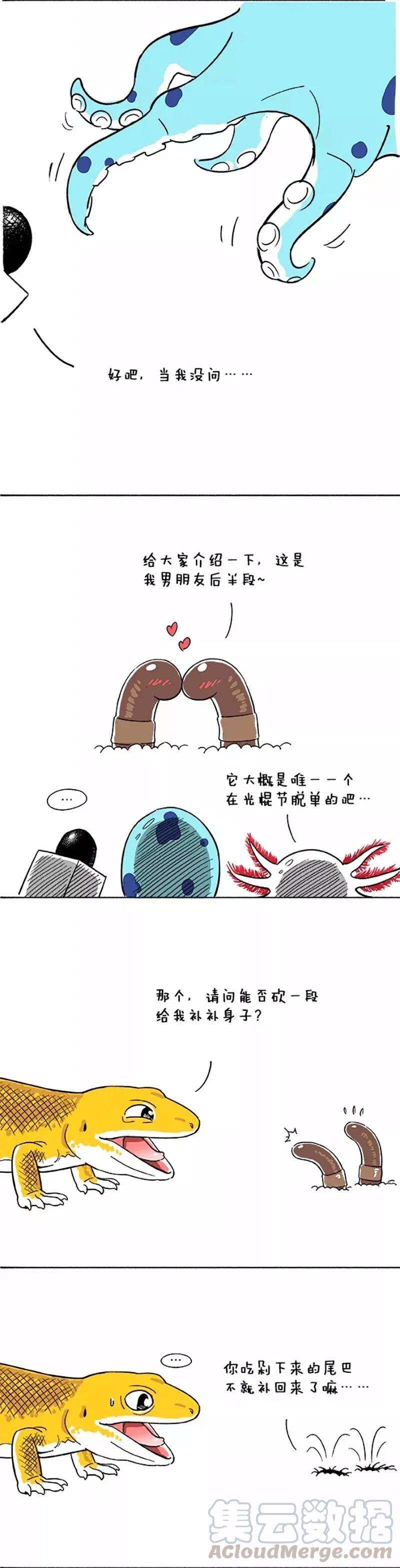 快把动物放进冰箱039 教训