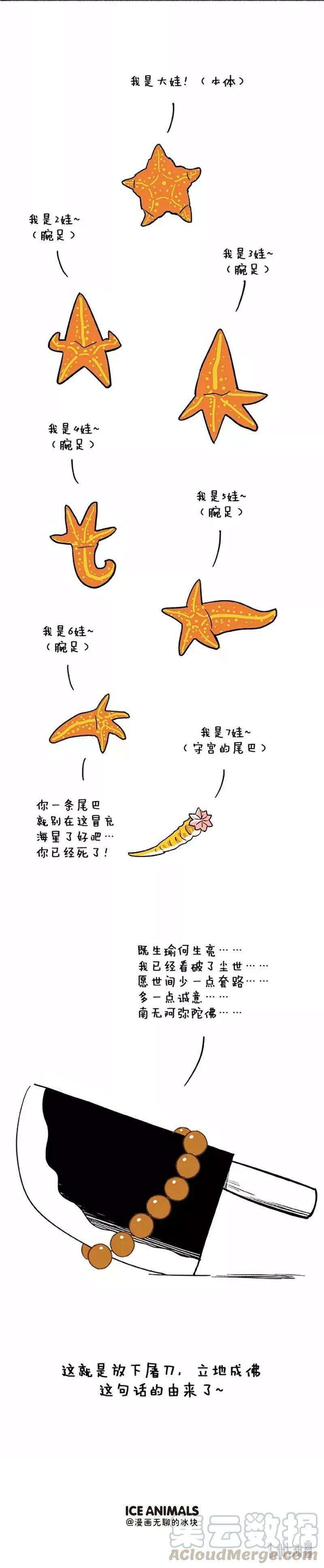 快把动物放进冰箱039 教训