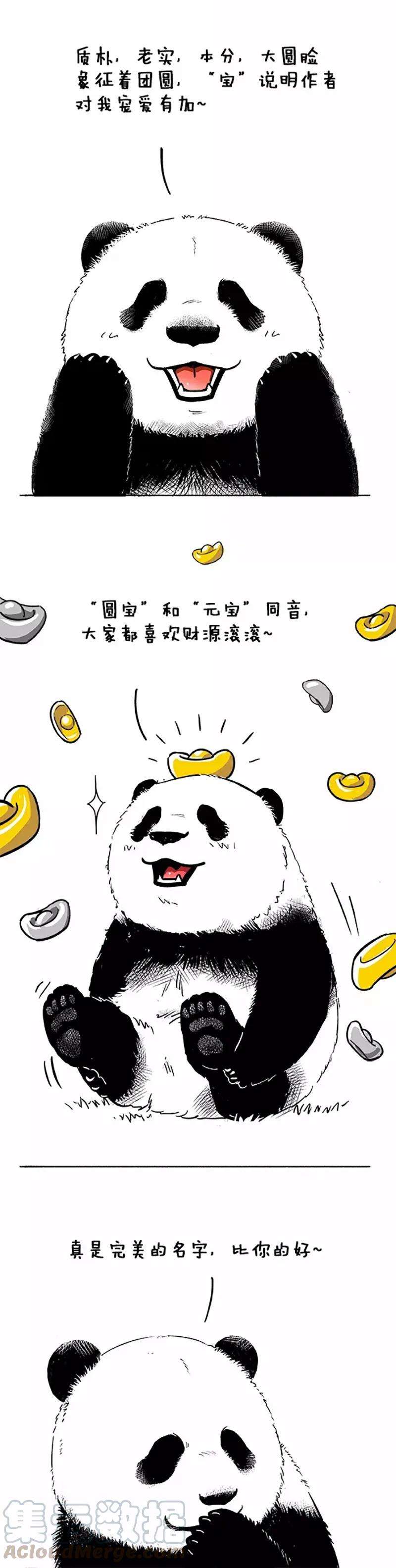 快把动物放进冰箱042 名字