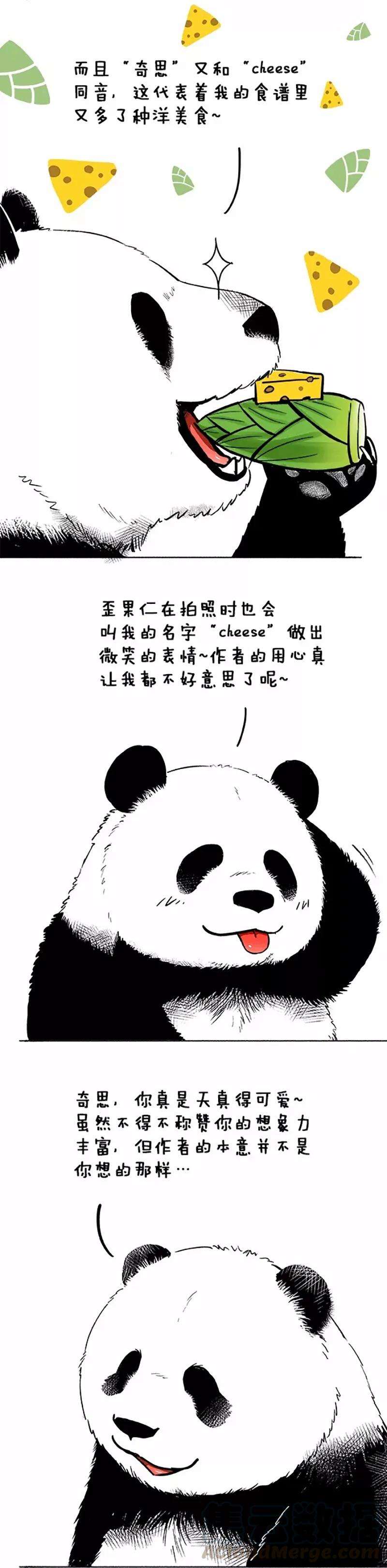快把动物放进冰箱042 名字