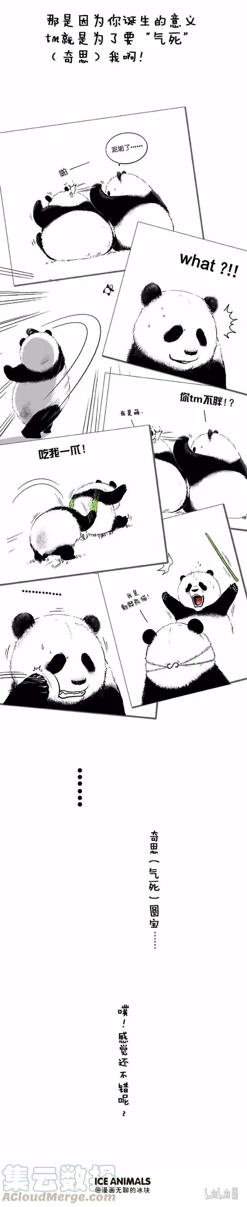 快把动物放进冰箱042 名字