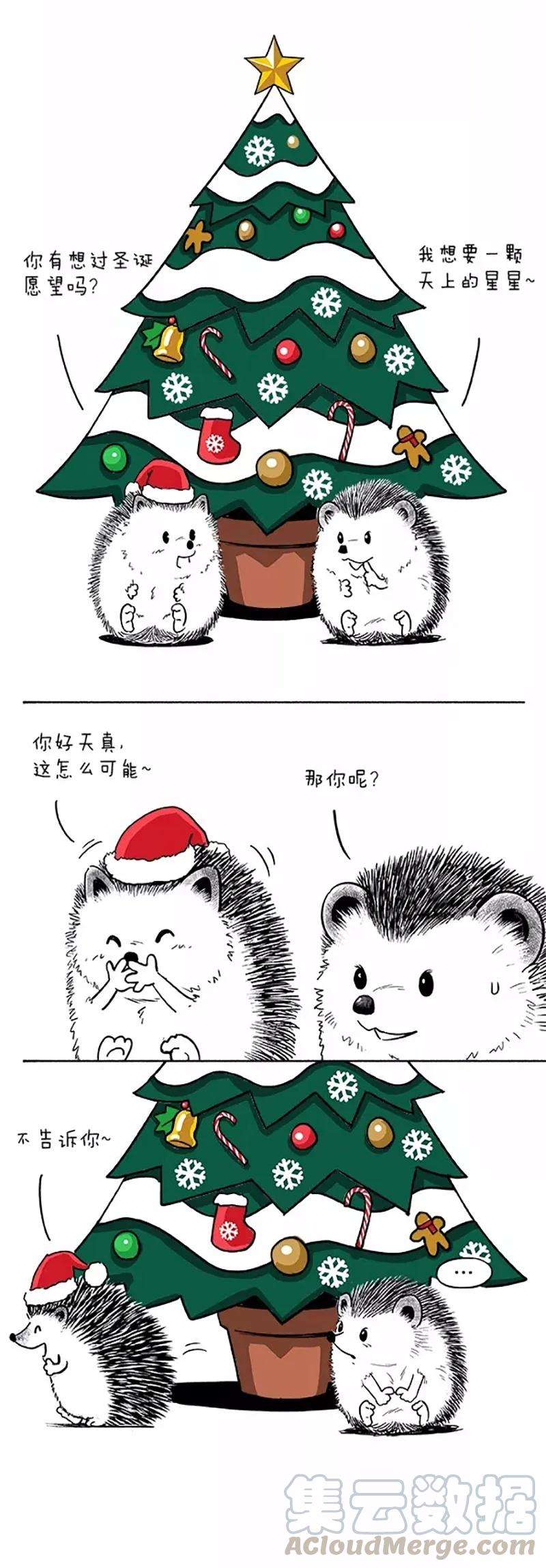 快把动物放进冰箱044 板栗少年把妹“圣诞大作战”