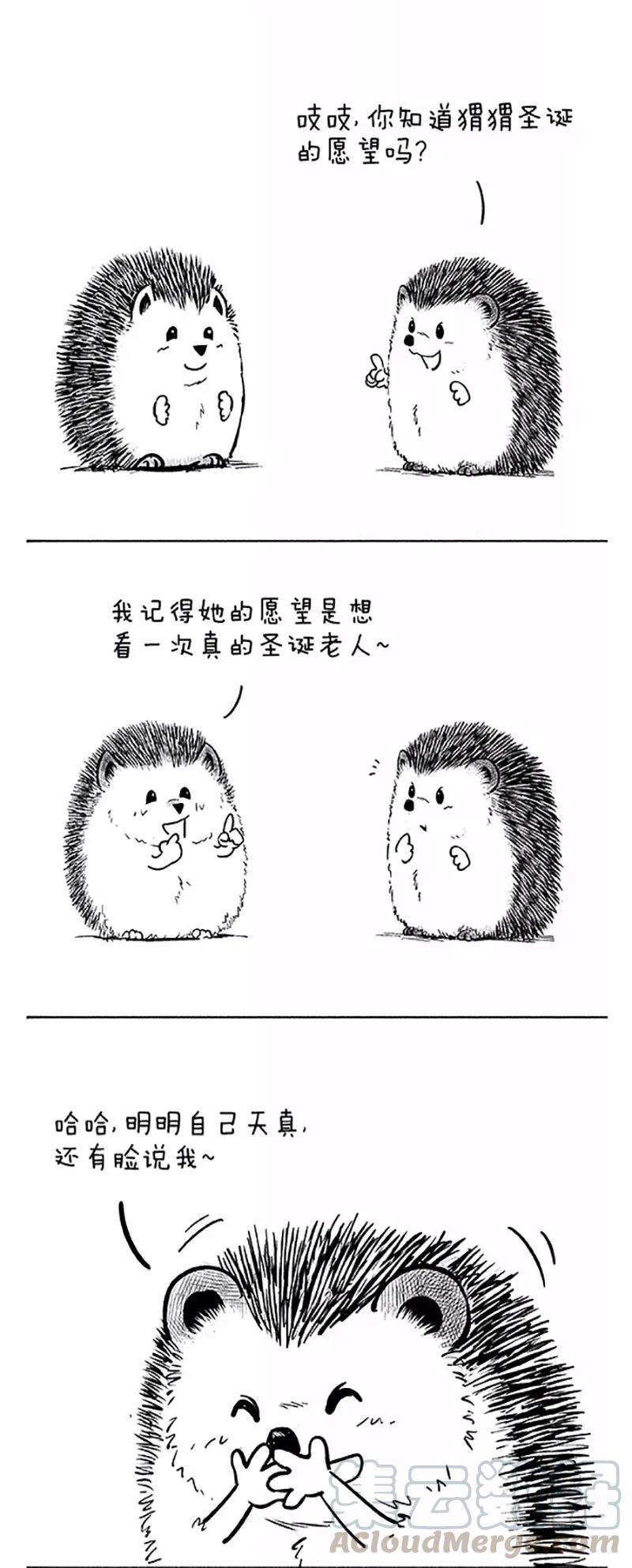 快把动物放进冰箱044 板栗少年把妹“圣诞大作战”