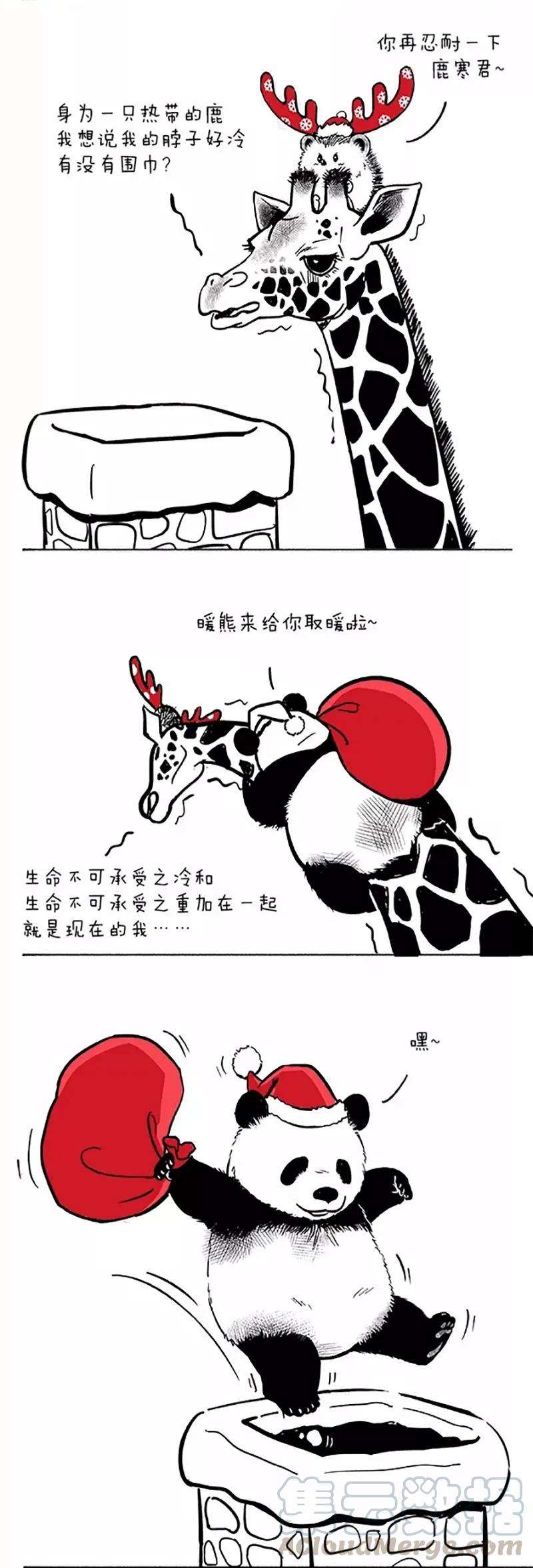 快把动物放进冰箱044 板栗少年把妹“圣诞大作战”
