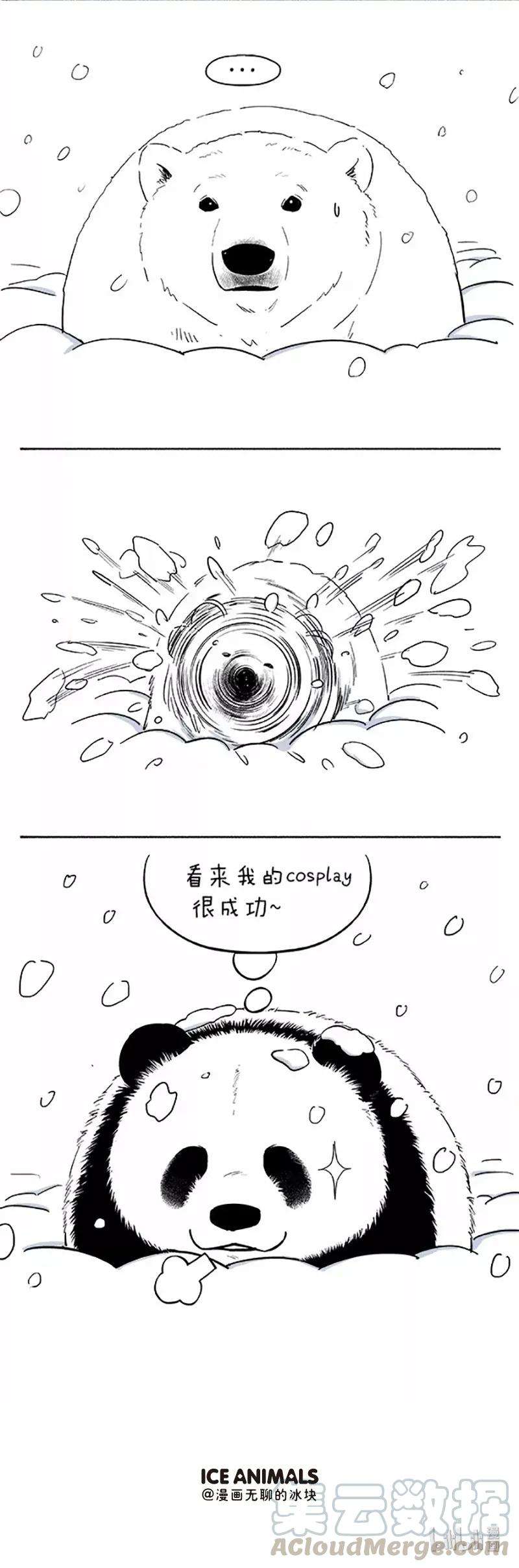 快把动物放进冰箱049 雪熊