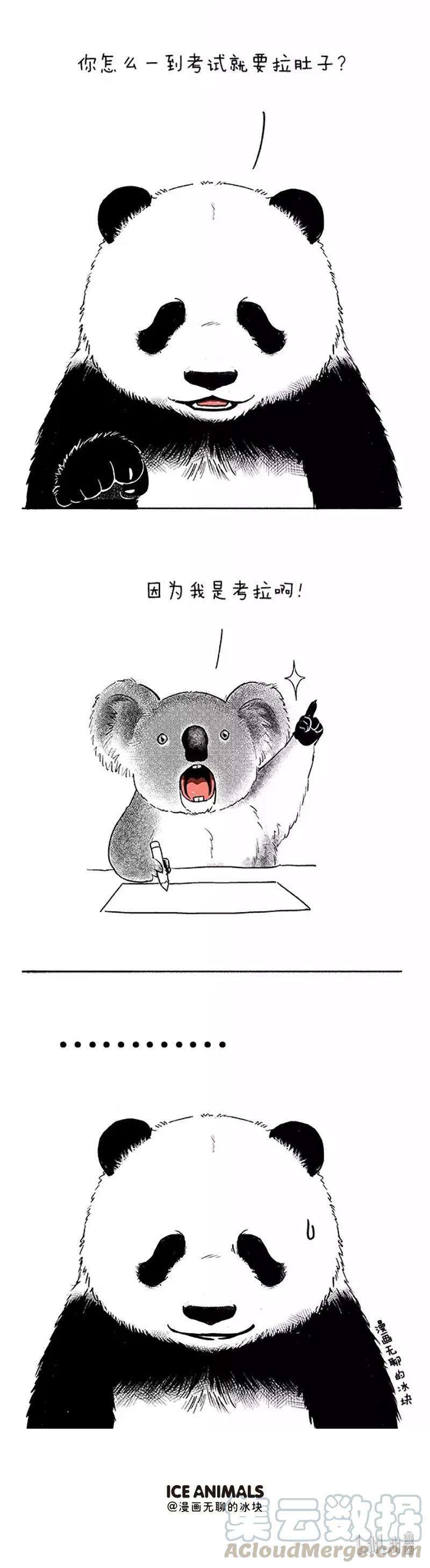快把动物放进冰箱050 考试