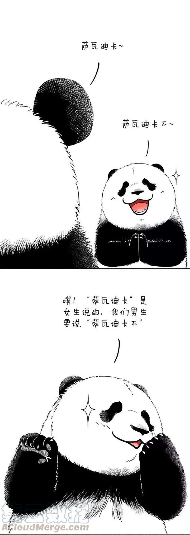 快把动物放进冰箱080 熊在普吉之“泰熊”篇02