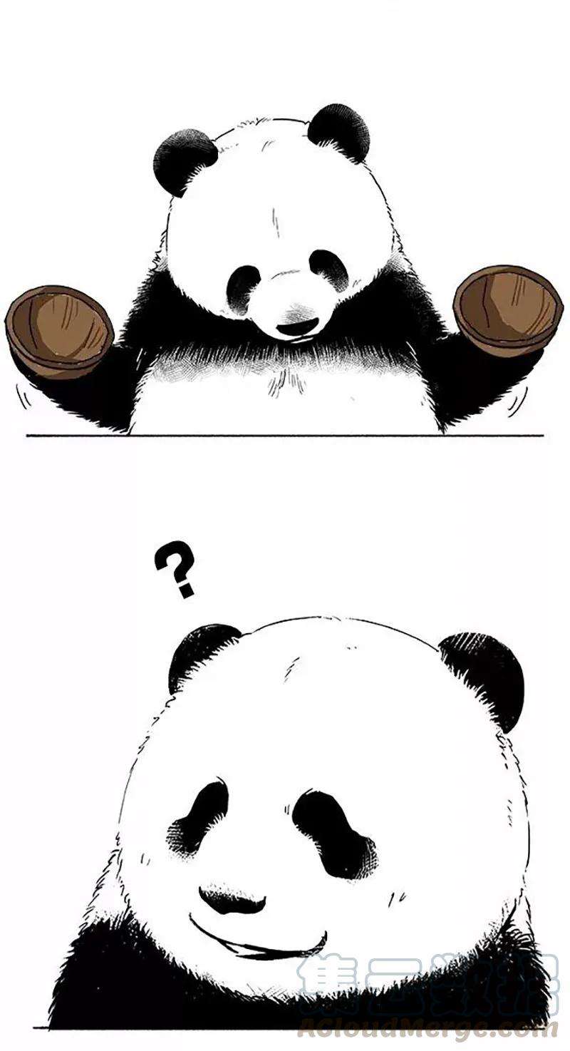 快把动物放进冰箱080 熊在普吉之“泰熊”篇02