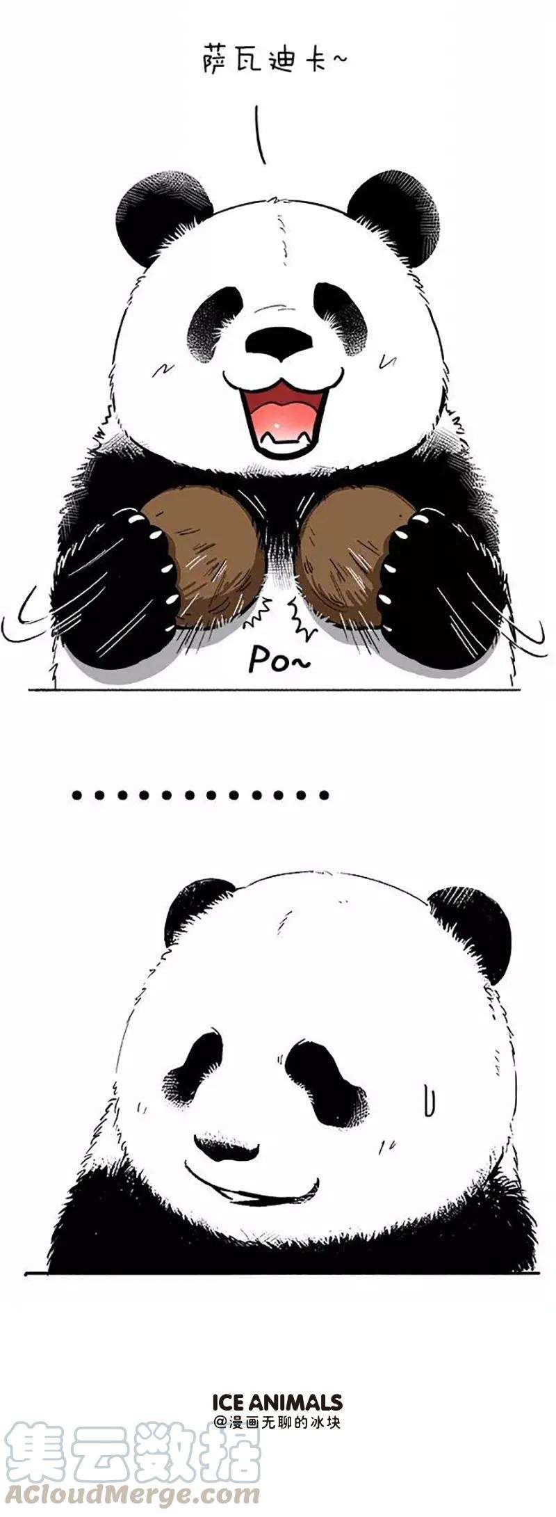 快把动物放进冰箱080 熊在普吉之“泰熊”篇02