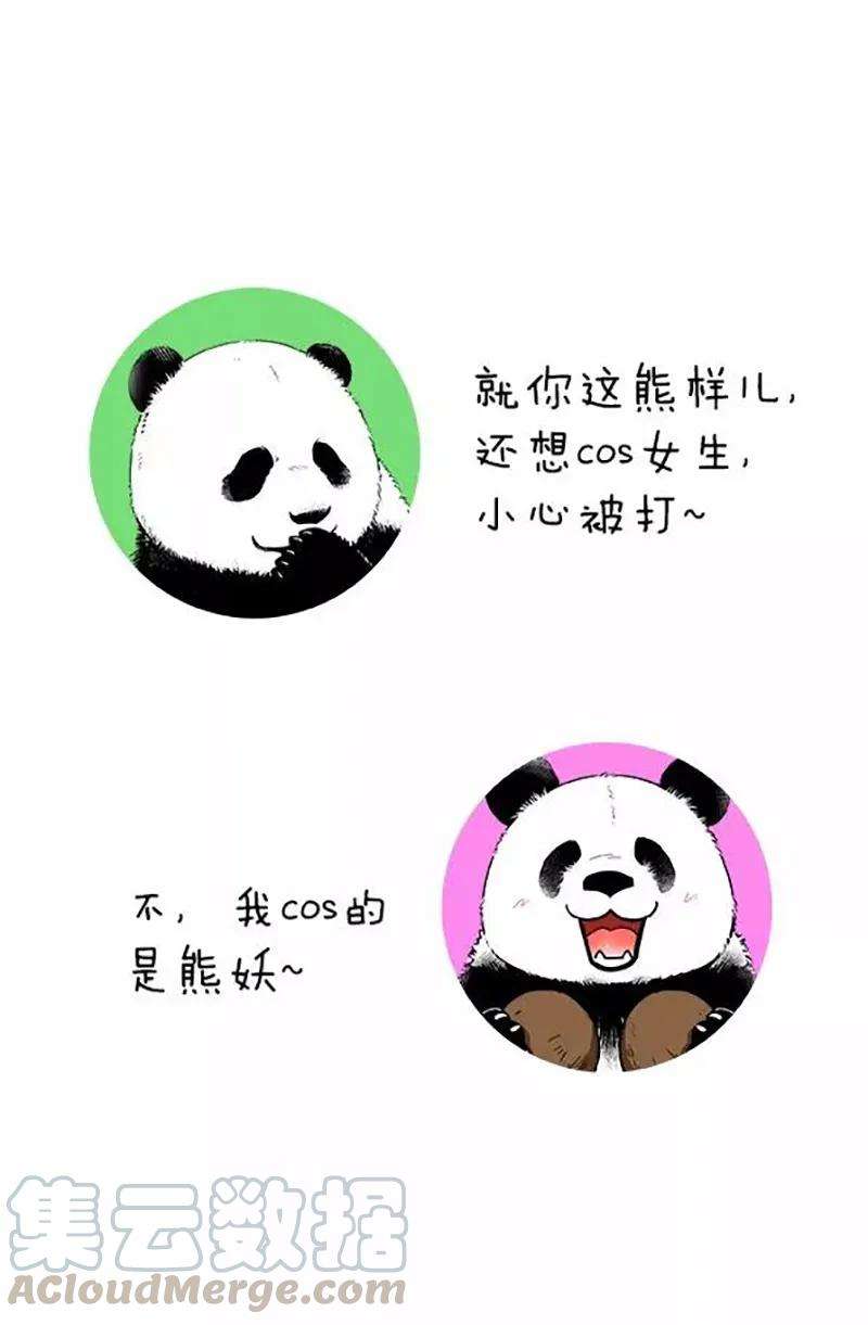 快把动物放进冰箱080 熊在普吉之“泰熊”篇02