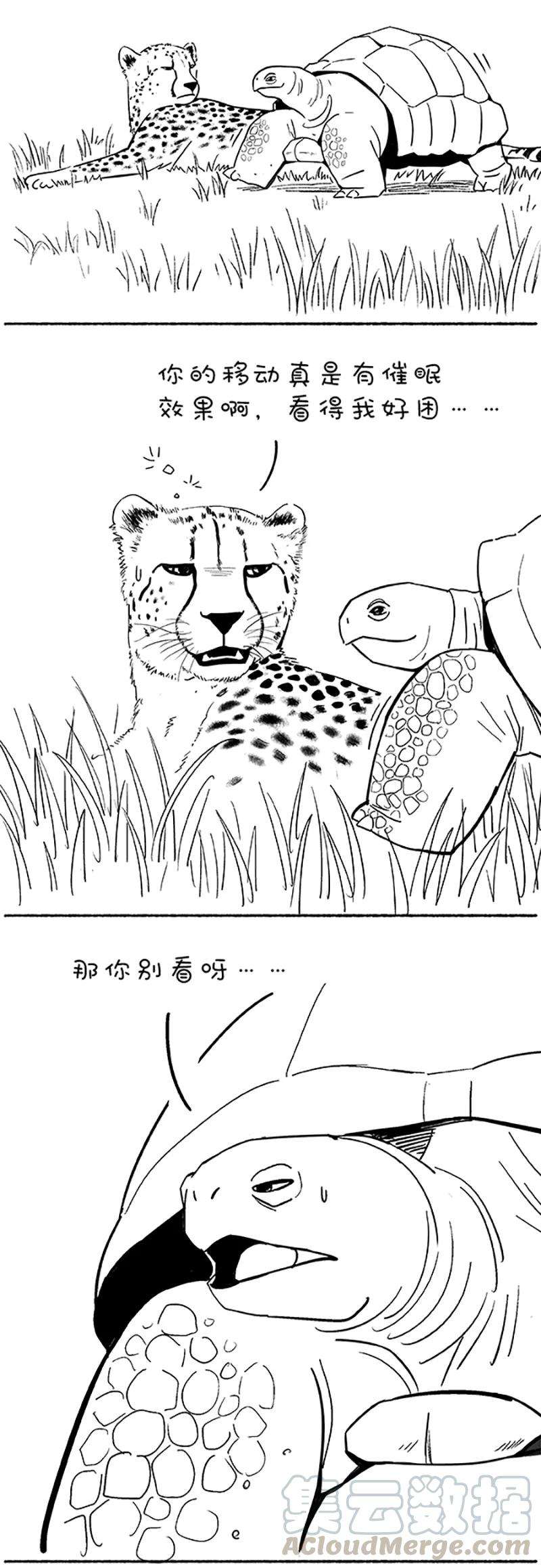 快把动物放进冰箱100 输了，彻底输了