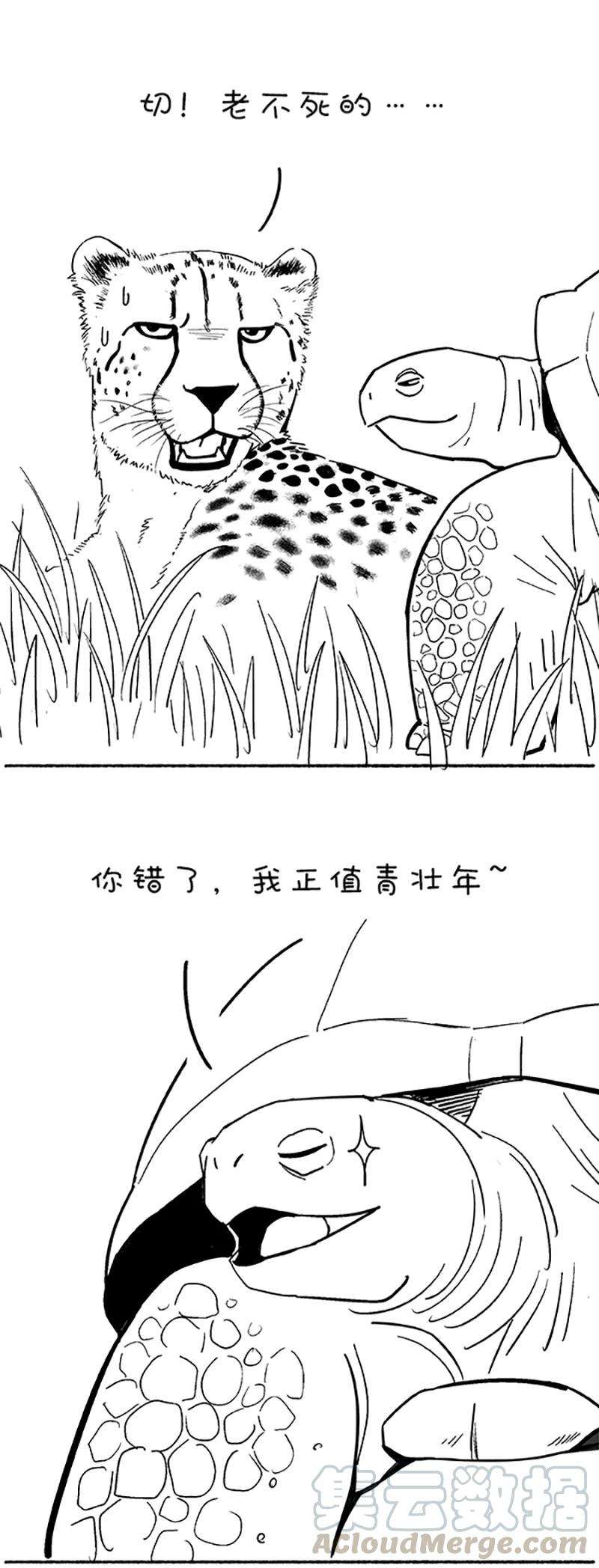 快把动物放进冰箱100 输了，彻底输了