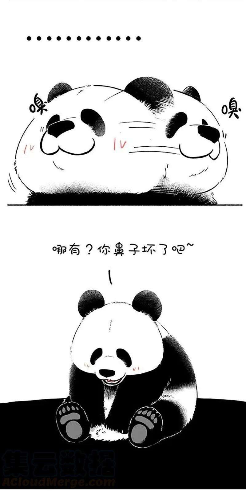 快把动物放进冰箱149 清明，有一种淡淡的氛围叫做