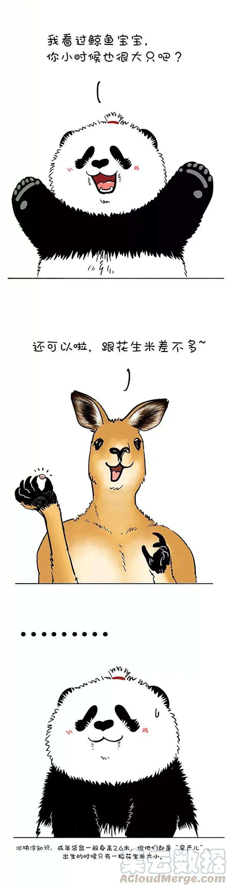 快把动物放进冰箱181 没人告诉我鼠有这么大