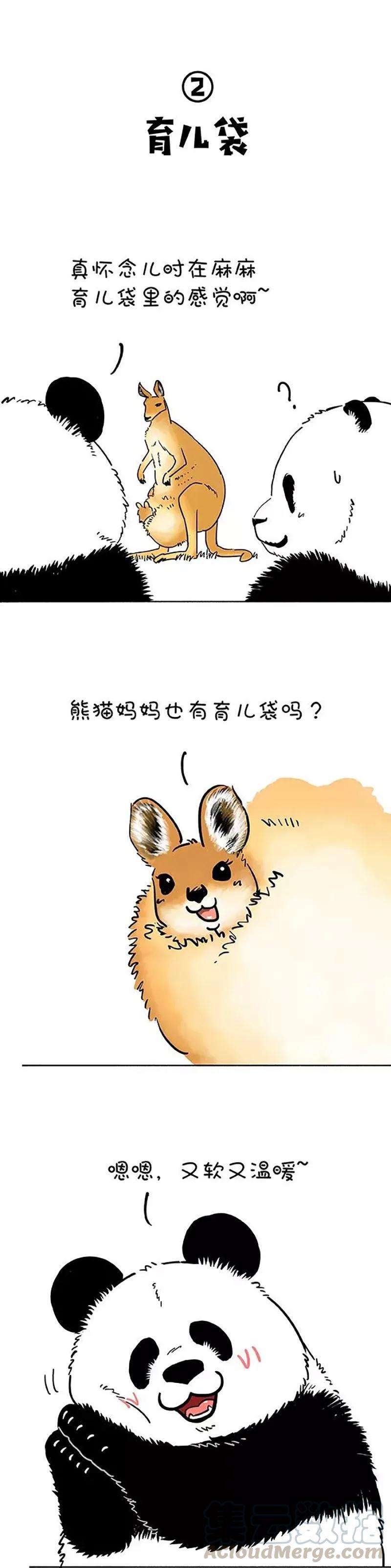 快把动物放进冰箱181 没人告诉我鼠有这么大