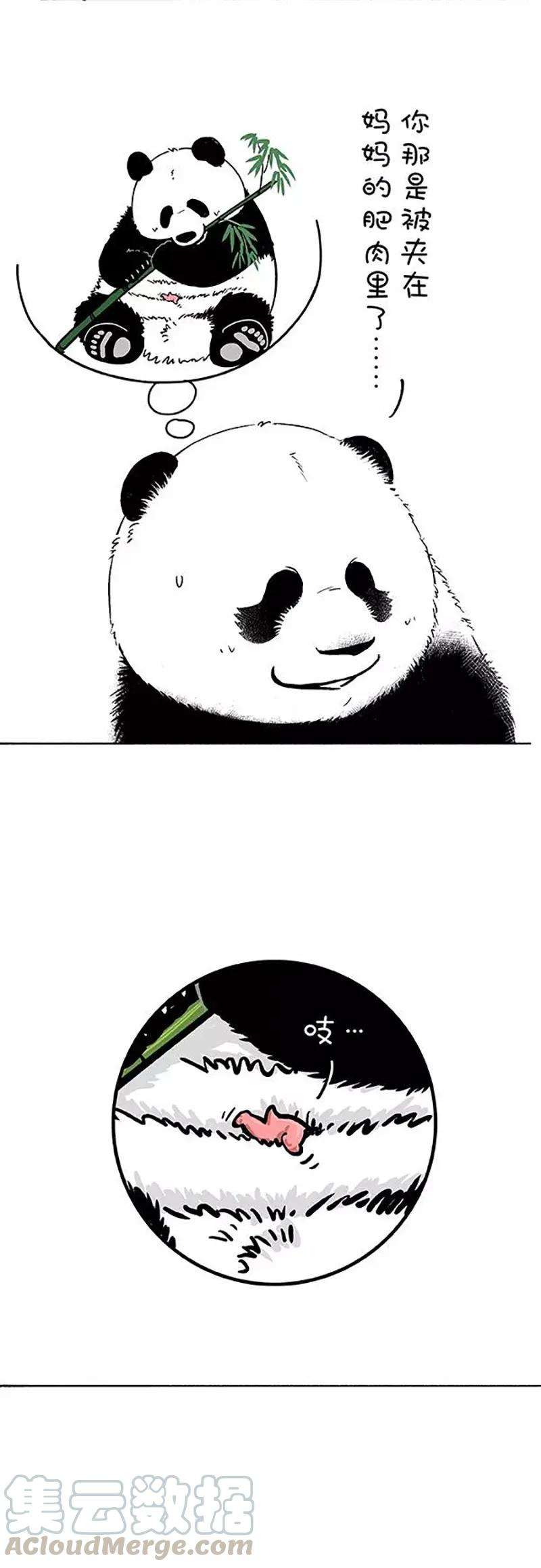 快把动物放进冰箱181 没人告诉我鼠有这么大