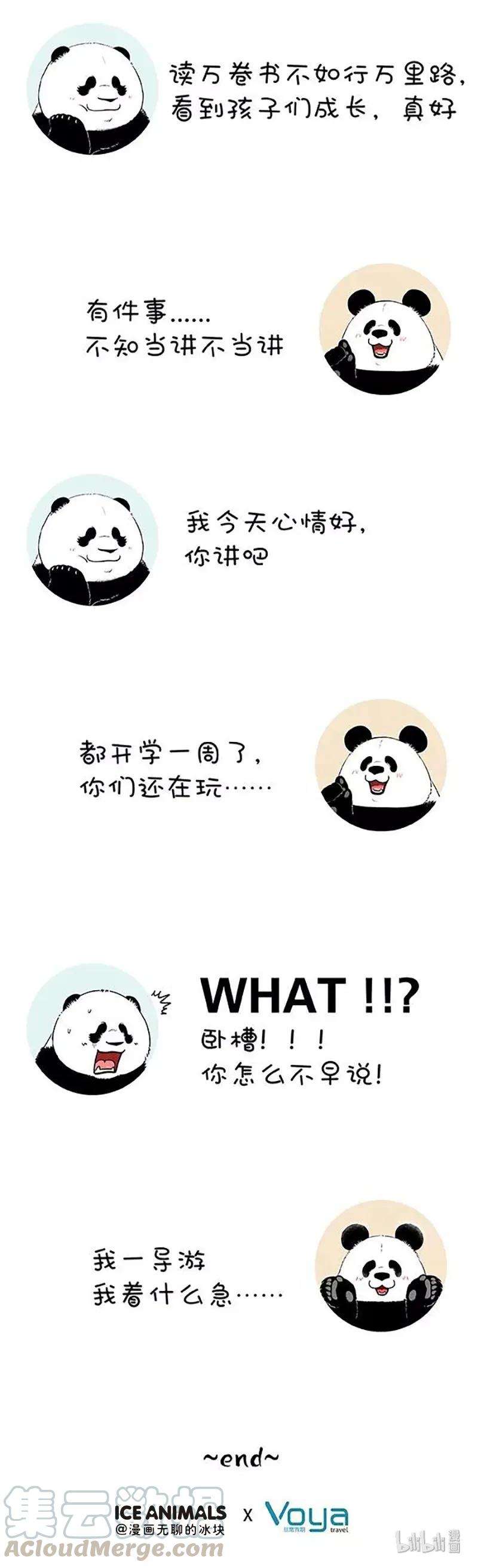 快把动物放进冰箱181 没人告诉我鼠有这么大