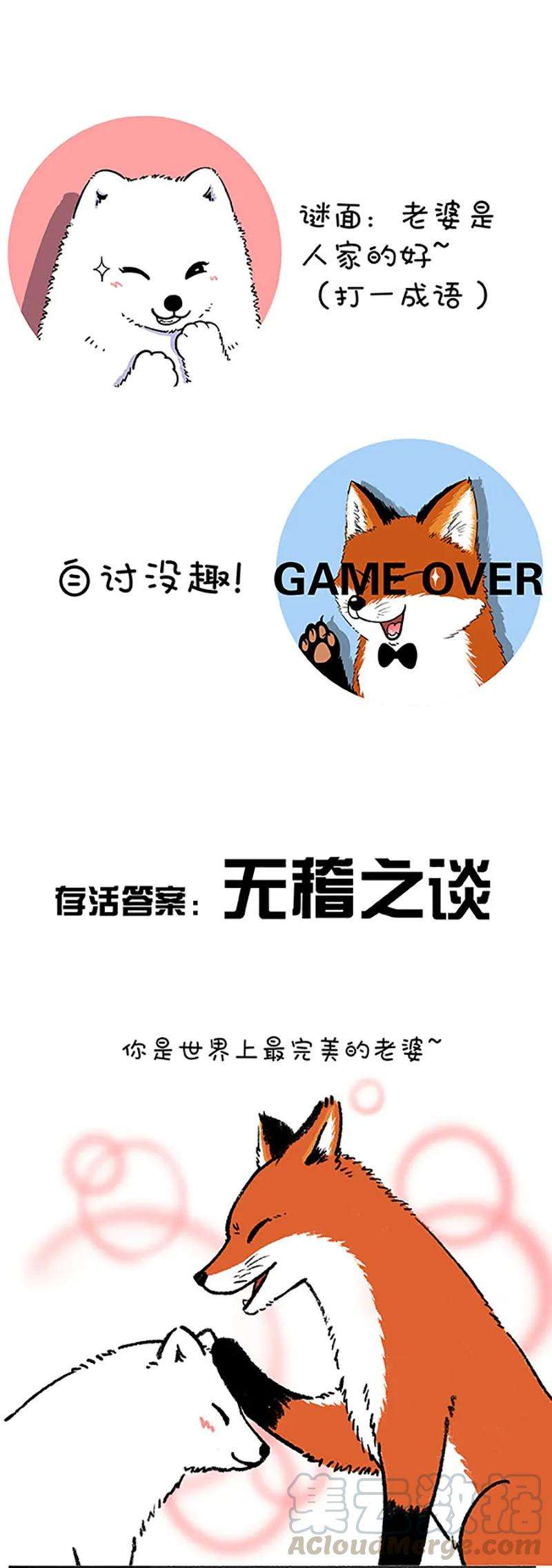 快把动物放进冰箱211 对元宵彩灯和灯谜的认知升级（下）