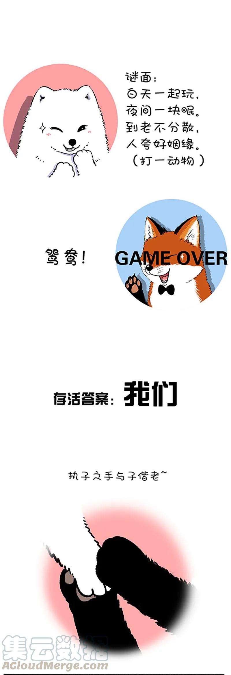 快把动物放进冰箱211 对元宵彩灯和灯谜的认知升级（下）