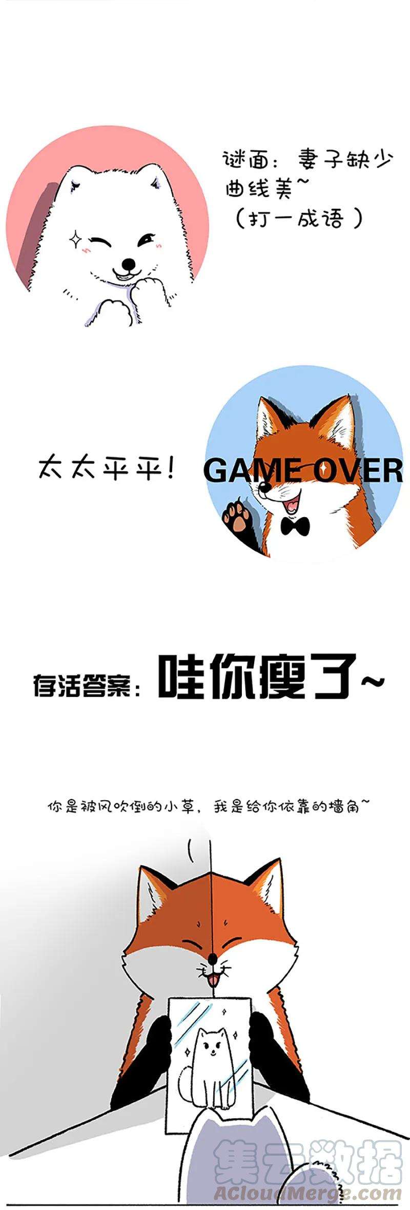 快把动物放进冰箱211 对元宵彩灯和灯谜的认知升级（下）